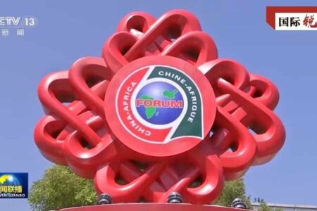 بیجنگ سمٹ نئے دور میں چین افریقہ تعاون میں ایک اور سنگ میل ہے، چینی میڈیا