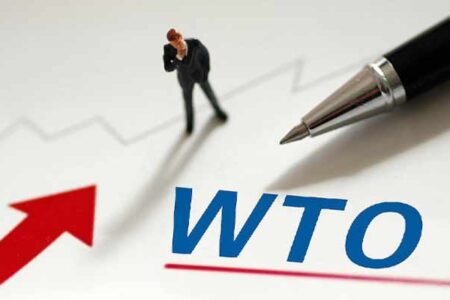 عالمی جواب دہندگان کی ڈبلیو ٹی او قوانین کو پامال کرنے پر امریکہ کی مذمت، چینی میڈیا