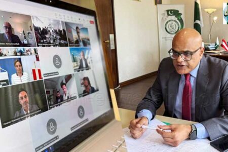 ویانا:پاکستان آسٹریا کے درمیان تجارت اور سرمایہ کاری پر ورچوئل میٹنگ